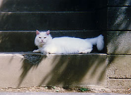 182_1.jpg