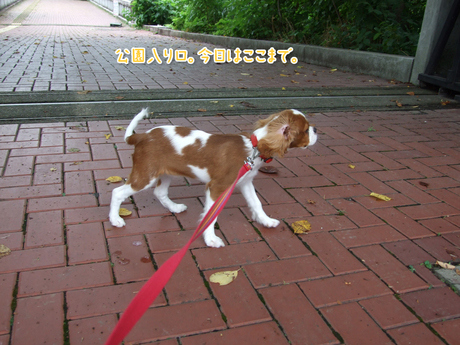 北本自然観察公園入り口