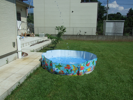 2014-08-18-1.jpg