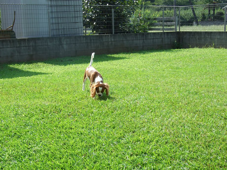 2014-08-21-3.jpg