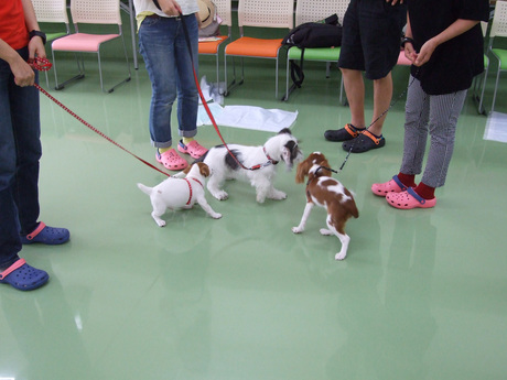 2014-08-23-4.jpg
