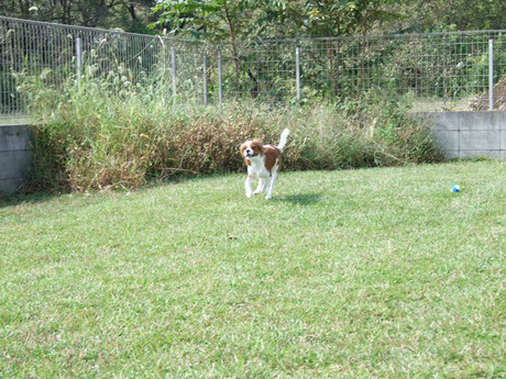 2014-10-16-2.jpg