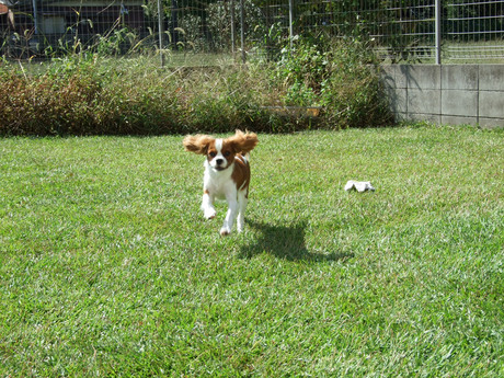 2014-10-16-4.jpg