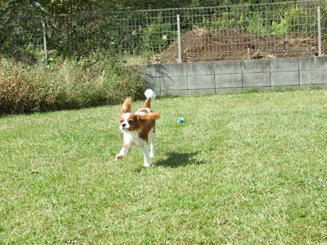 2014-10-16-6.jpg