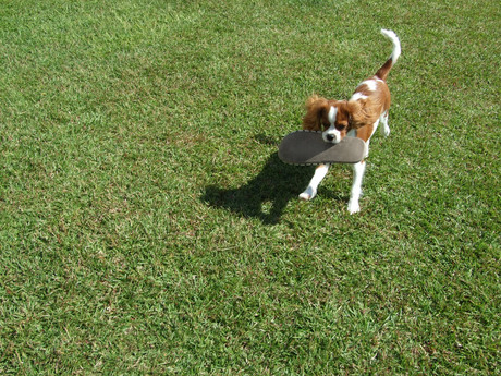 2014-10-17-4.jpg