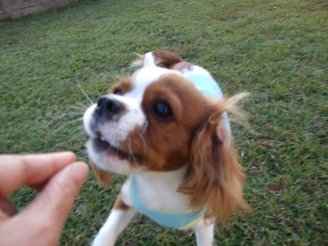 2014-10-24-5.jpg