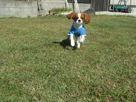 2014-10-28-1.jpg