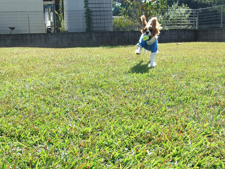 2014-10-28-3.jpg