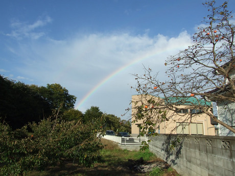 2014-11-06-1.jpg