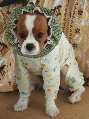 2014-11-15-6.jpg