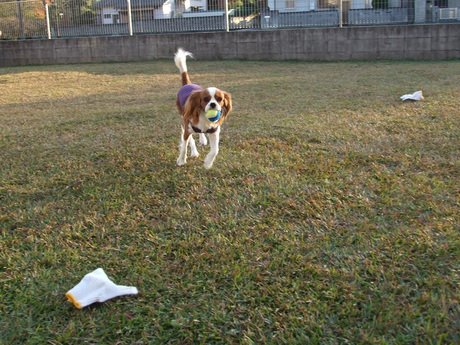 2014-11-18-7.jpg