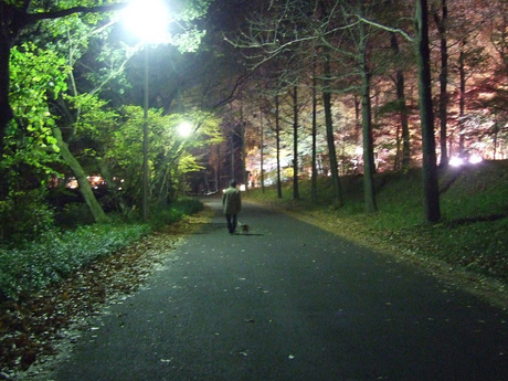 2014-11-22-4.jpg