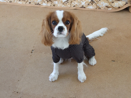2014-11-23-1.jpg
