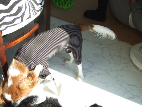 2014-11-23-3.jpg