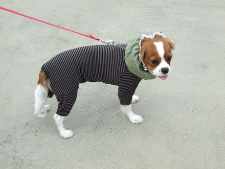 2014-11-28-1.jpg