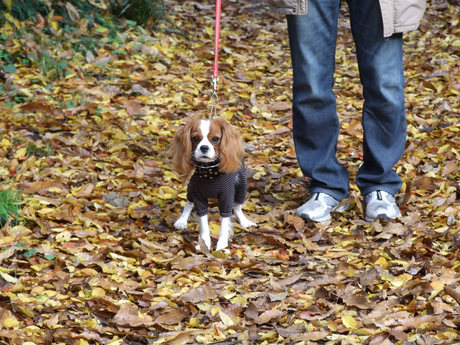 2014-11-30-10.jpg