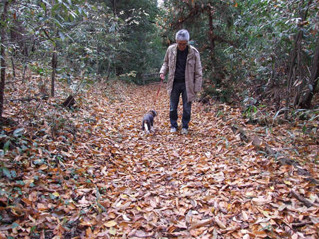 2014-11-30-12.jpg