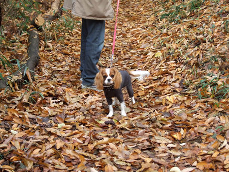 2014-11-30-13.jpg