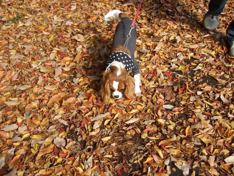 2014-11-30-2.jpg