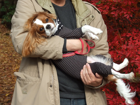 2014-11-30-3.jpg