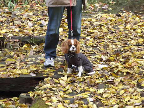 2014-11-30-6.jpg