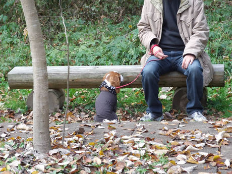 2014-11-30-7.jpg