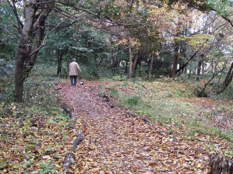 2014-11-30-9.jpg