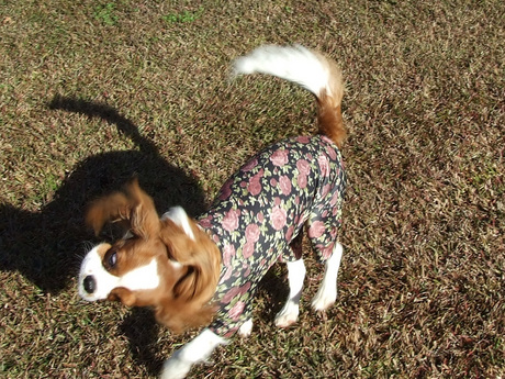 2014-12-02-2.jpg