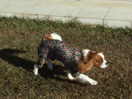 2014-12-02-3.jpg