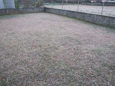 2014-12-03-1.jpg