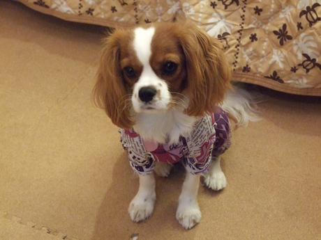 2014-12-11-3.jpg