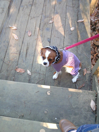 2014-12-13-2.jpg