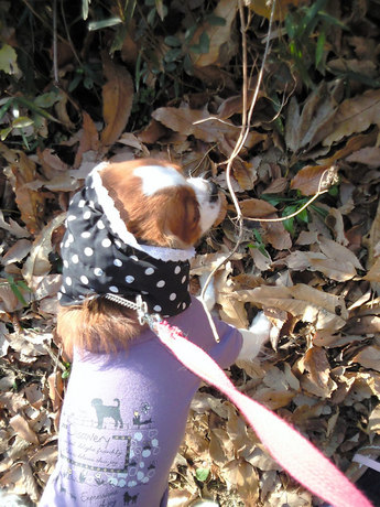 2014-12-13-4.jpg