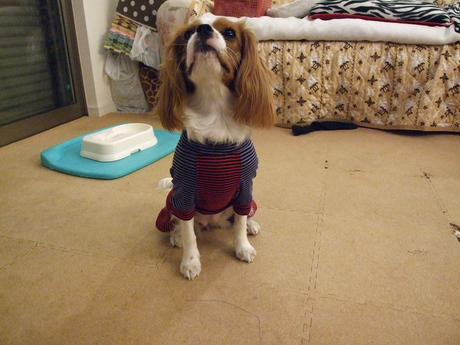 2014-12-16-1.jpg