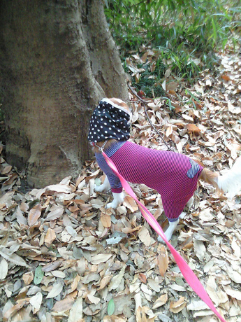 2014-12-16-3.jpg