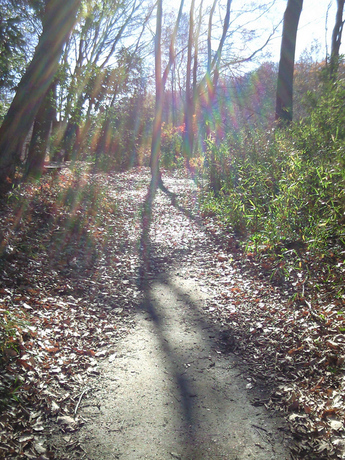 2014-12-18-7.jpg