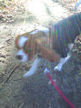 2014-12-18-9.jpg
