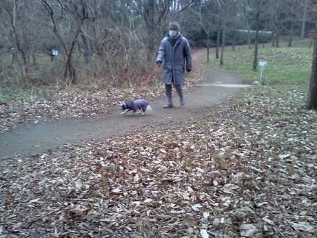 2014-12-20-4.jpg