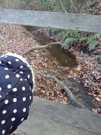 2014-12-25 14.17.15.jpg