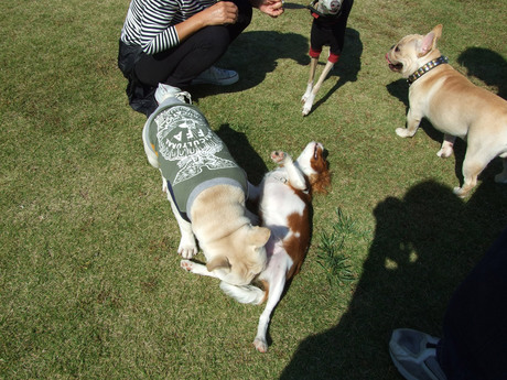 20141019-1.jpg