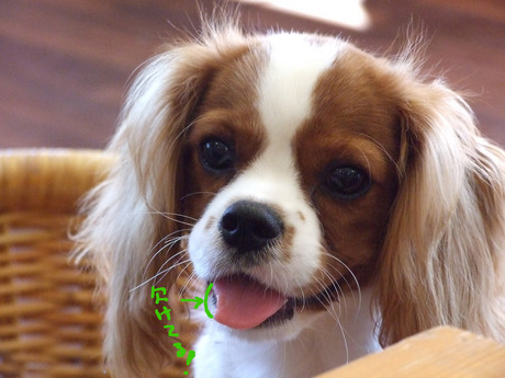 20141019-11.jpg