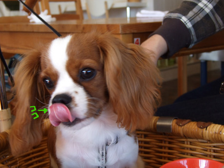 20141019-12.jpg