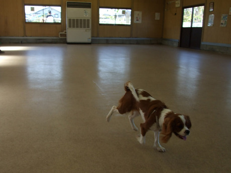 20141019-2.jpg