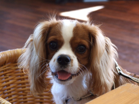 20141019-3.jpg