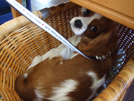 20141019-4.jpg