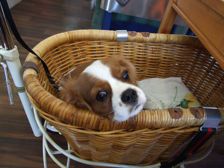 20141019-5.jpg