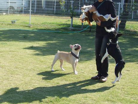20141019-6.jpg