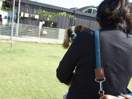 20141019-8.jpg