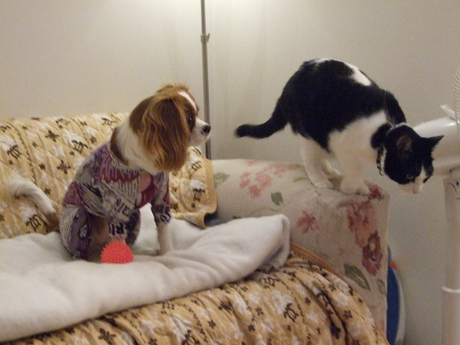 20141210-1.jpg