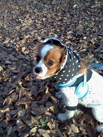 2015-01-05 15.16.42.jpg